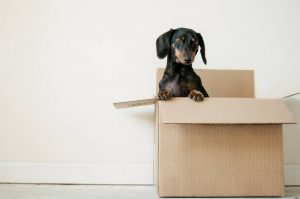 Tips for Moving Home